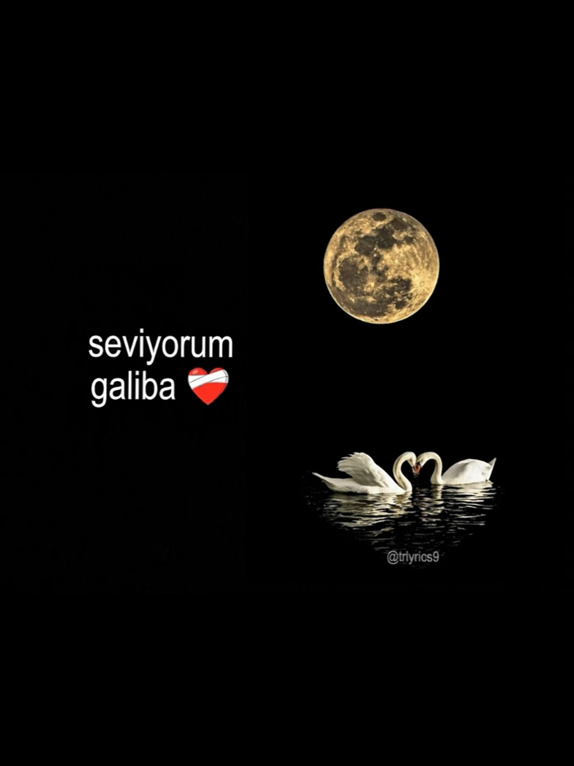@𝙏𝙍>𝙡𝙮𝙧𝙞𝙘𝙨