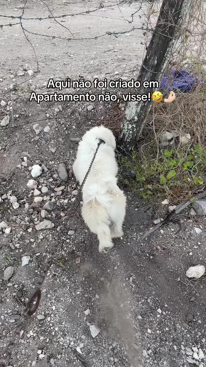 @Adriely Teresa🤍