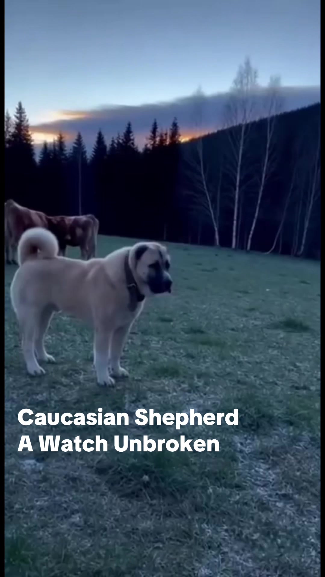 @epicaimedia