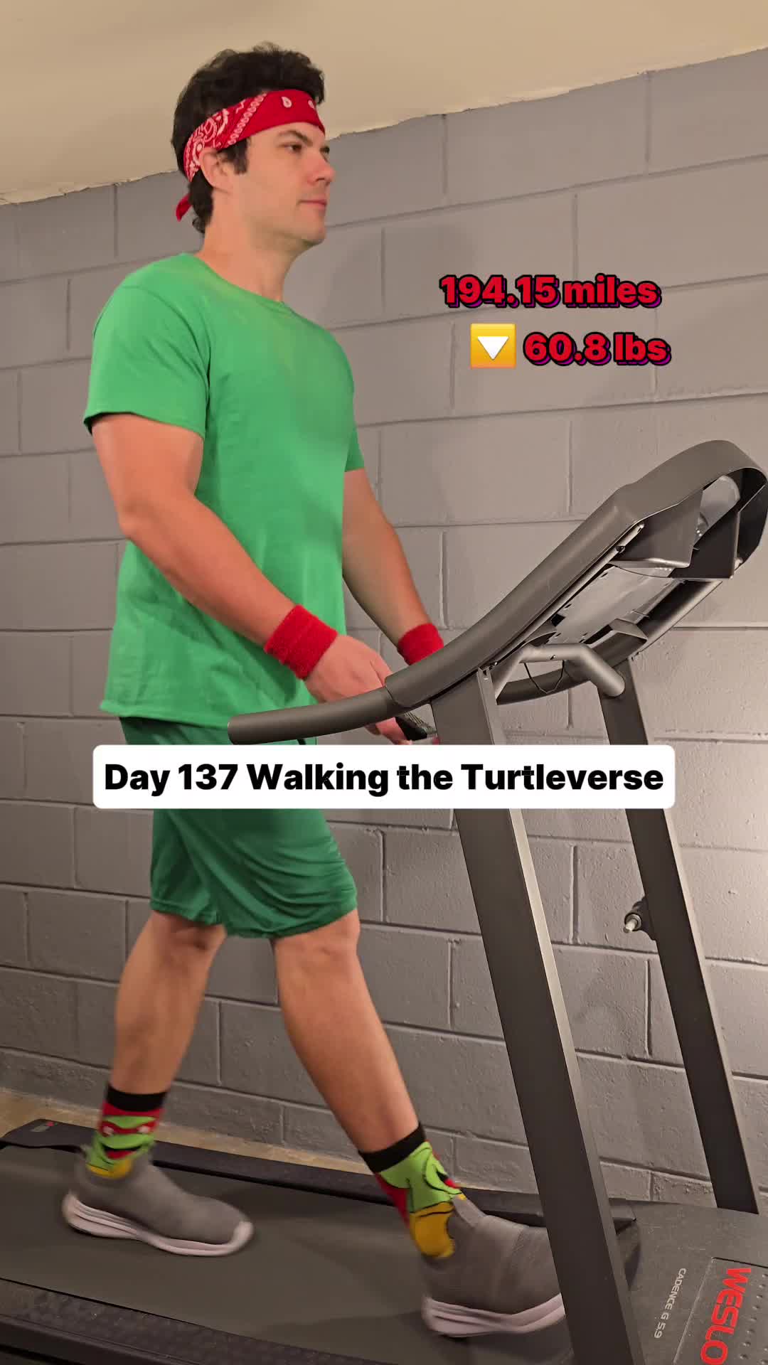 @Walking the Turtleverse
