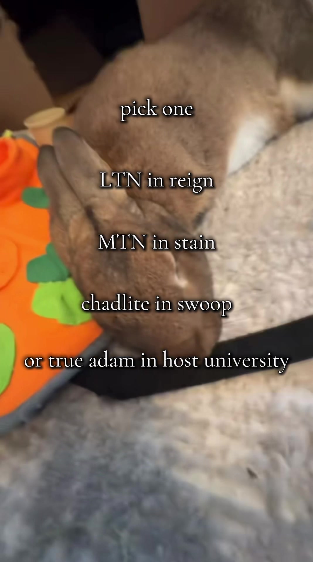 @kreepup