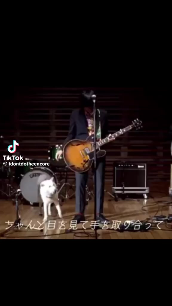 @ヤニ猫(マッシュ)