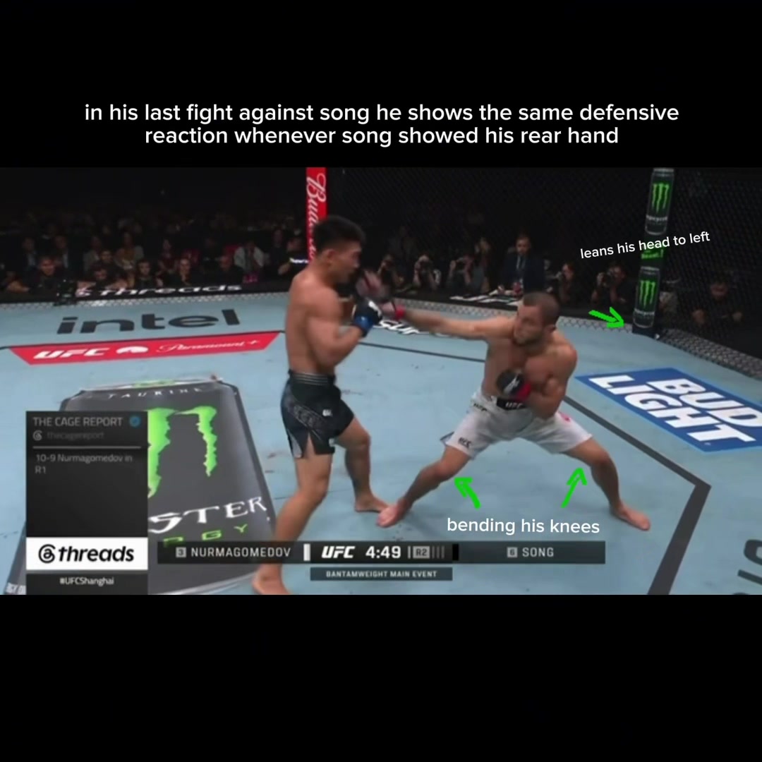 @jaredcannonierlover0020
