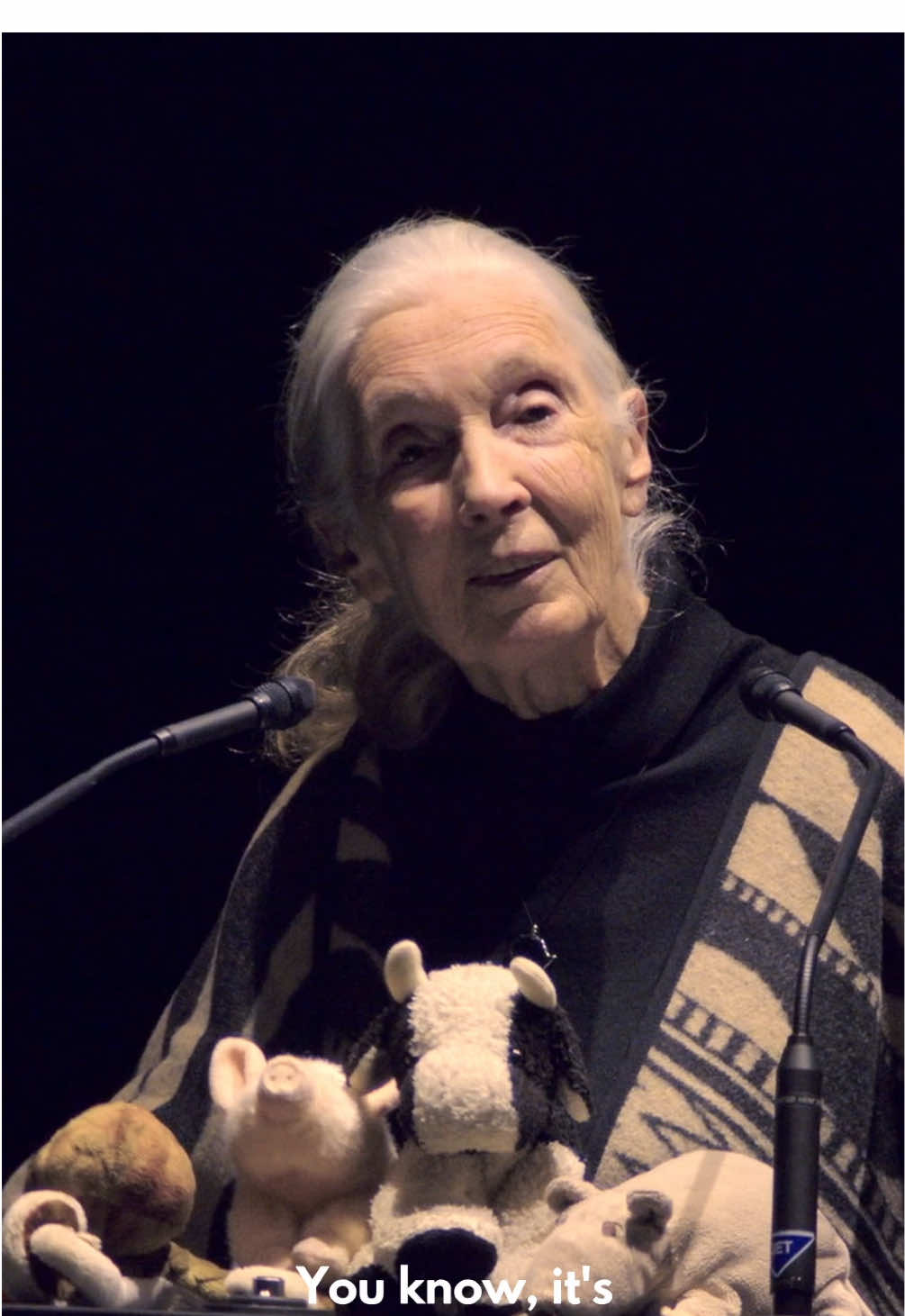 @Jane Goodall Institute 🇨🇦