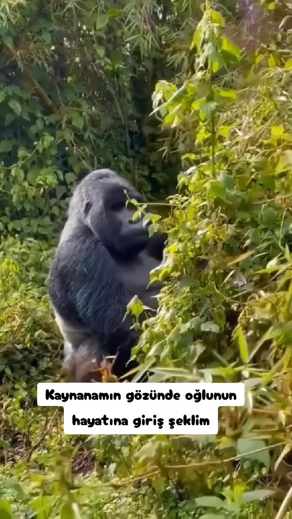 @Özgür&Emine