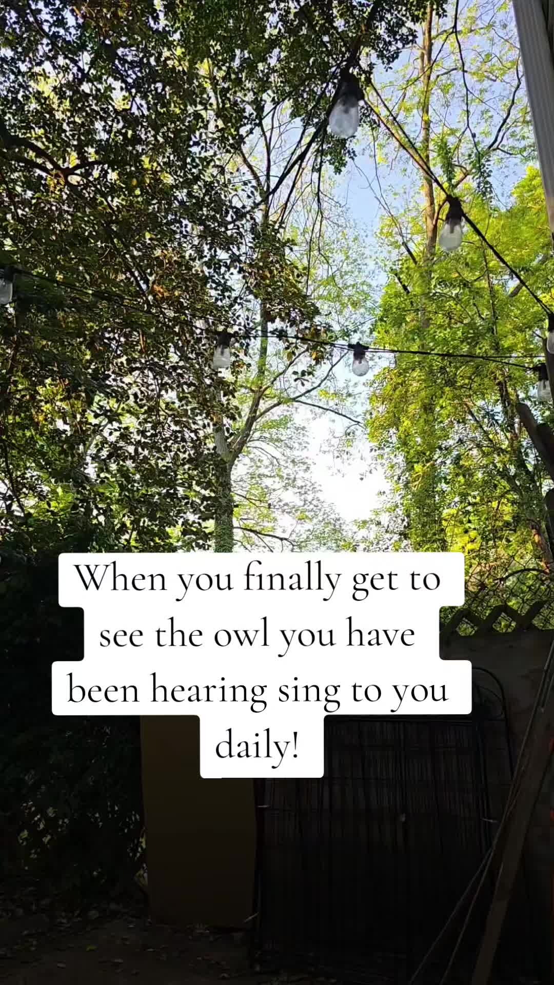 @Meegan💕✨️