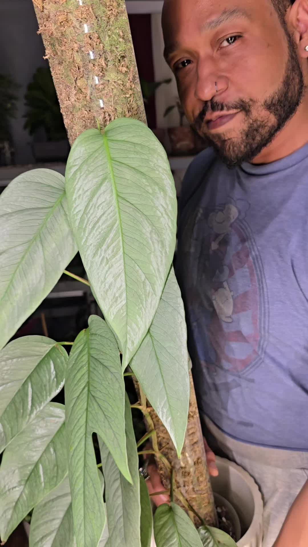 @JT - BigEGOPlants