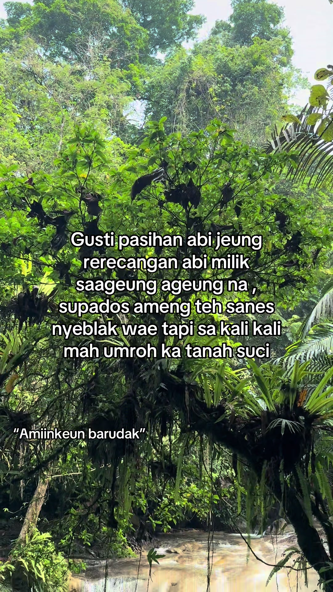 @Citumang wonderful