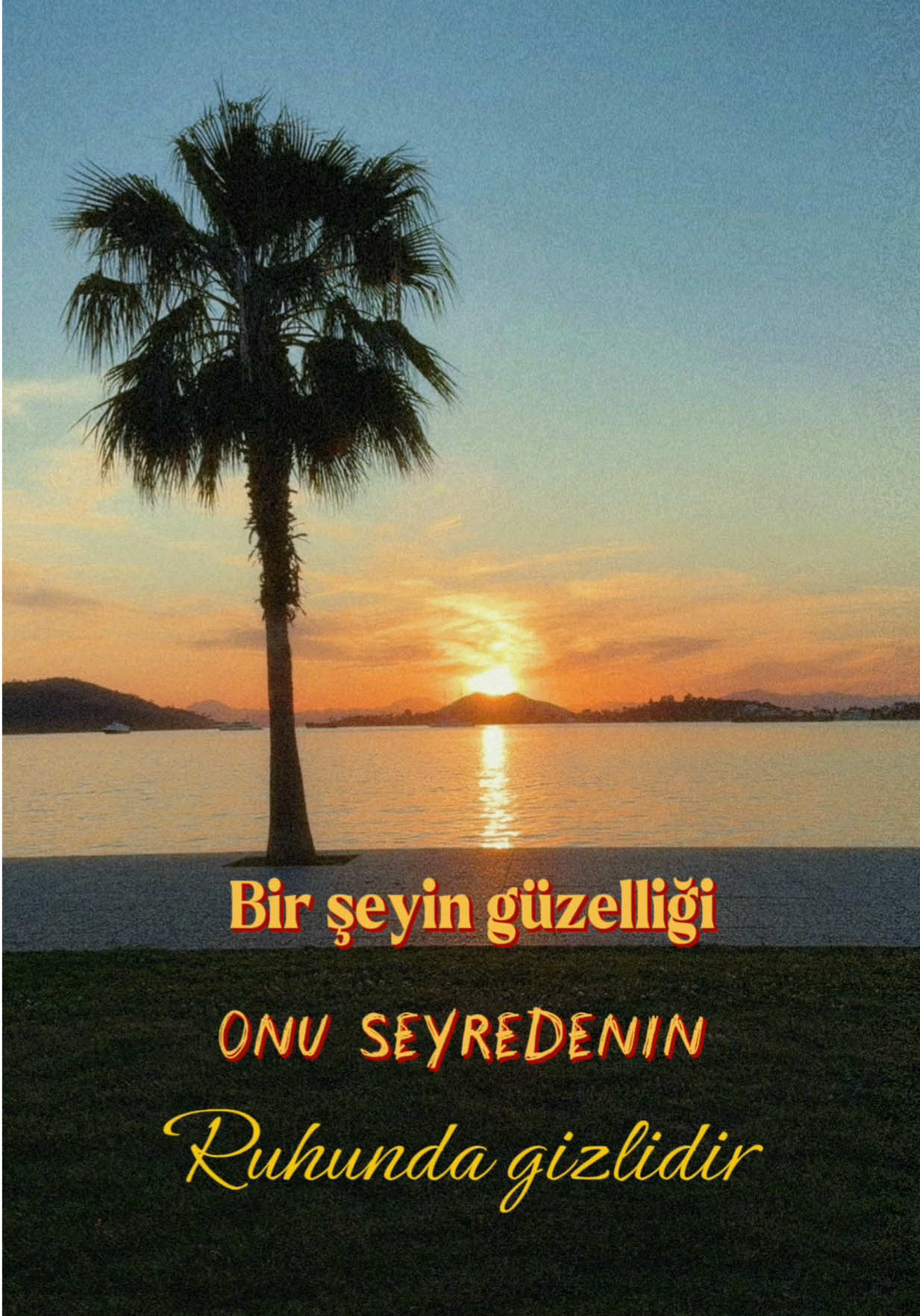 @Semih DOĞAN