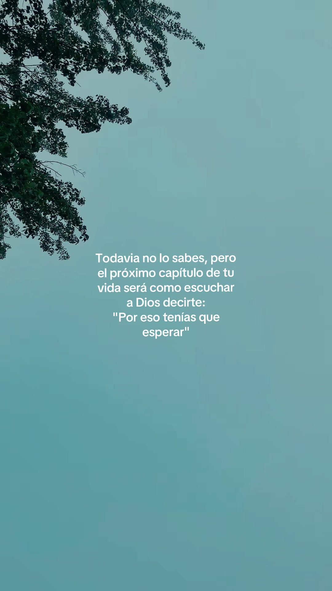 @Frases de todo un poco...