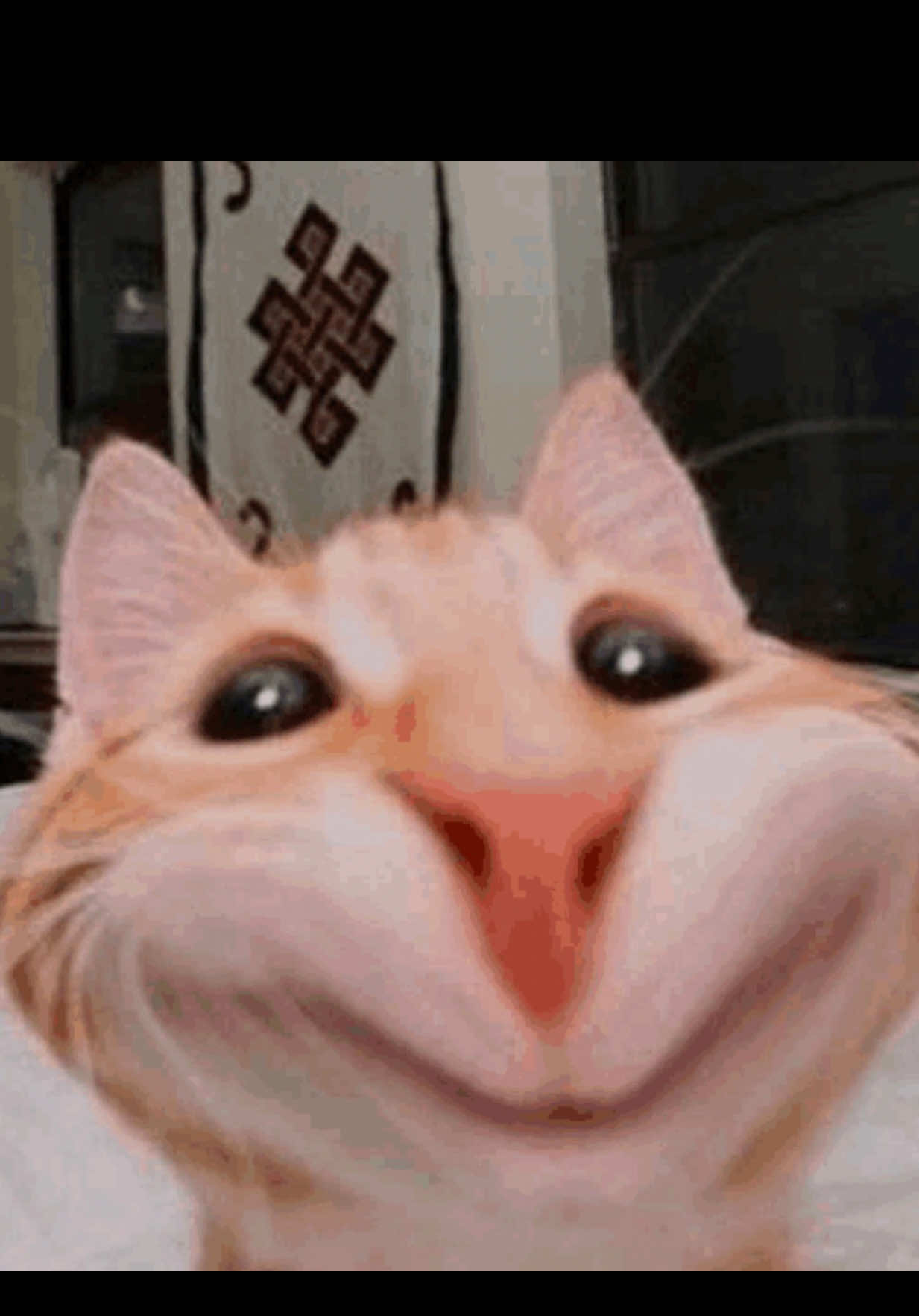 @KNS izyhuri