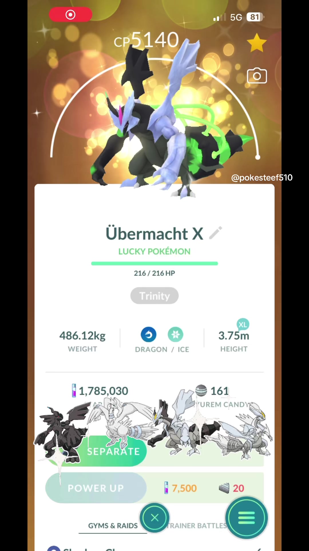 @PokeSteef510