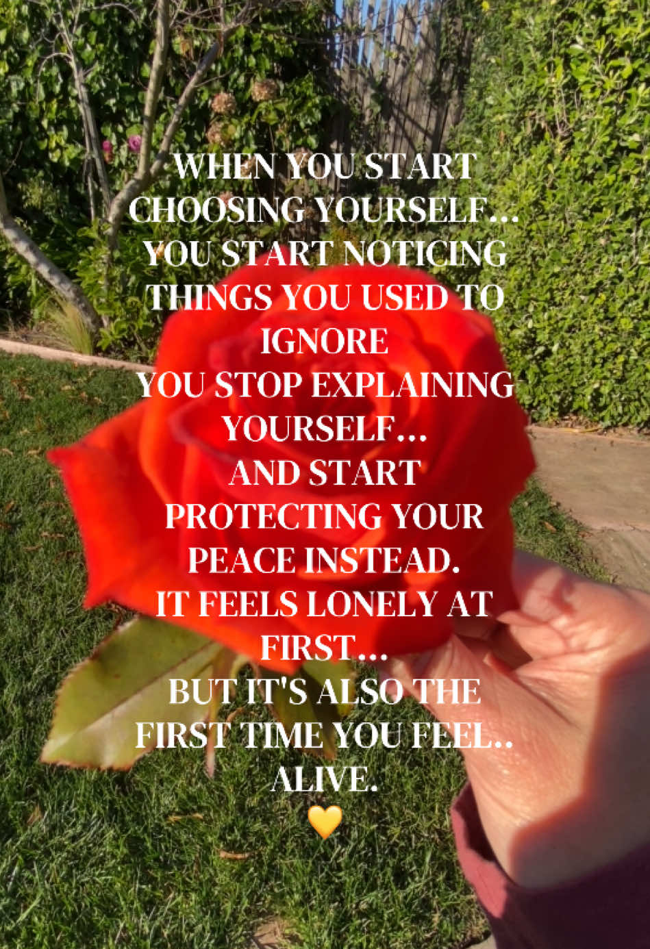 @Manifestation Essentials