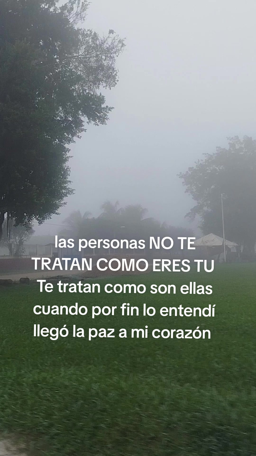 @Rompiendo ciclos