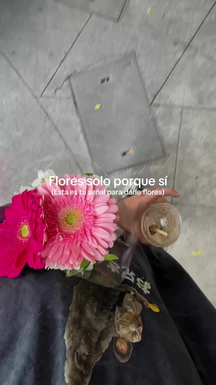 @Nando de Ibarrondo