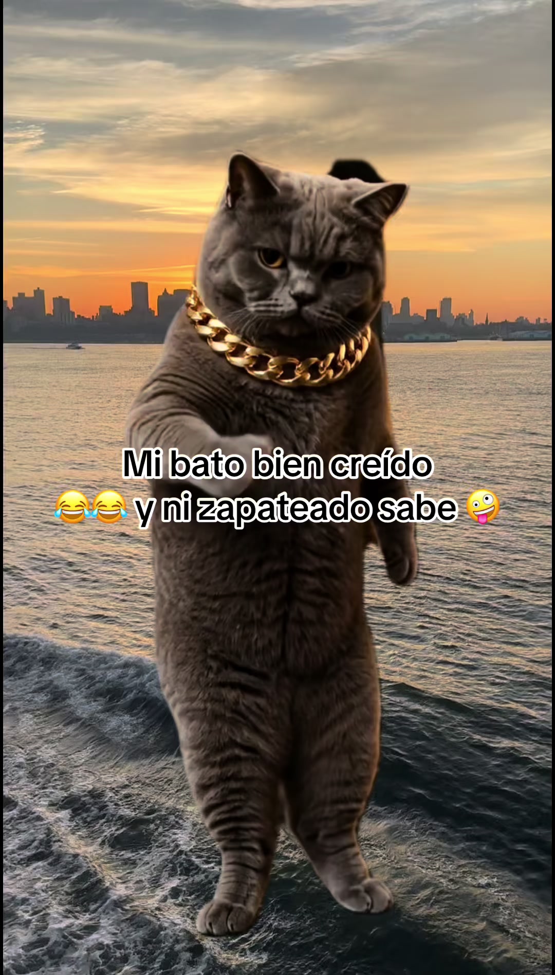 @Paty escobar