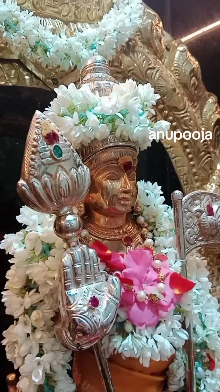 @anupooja 010