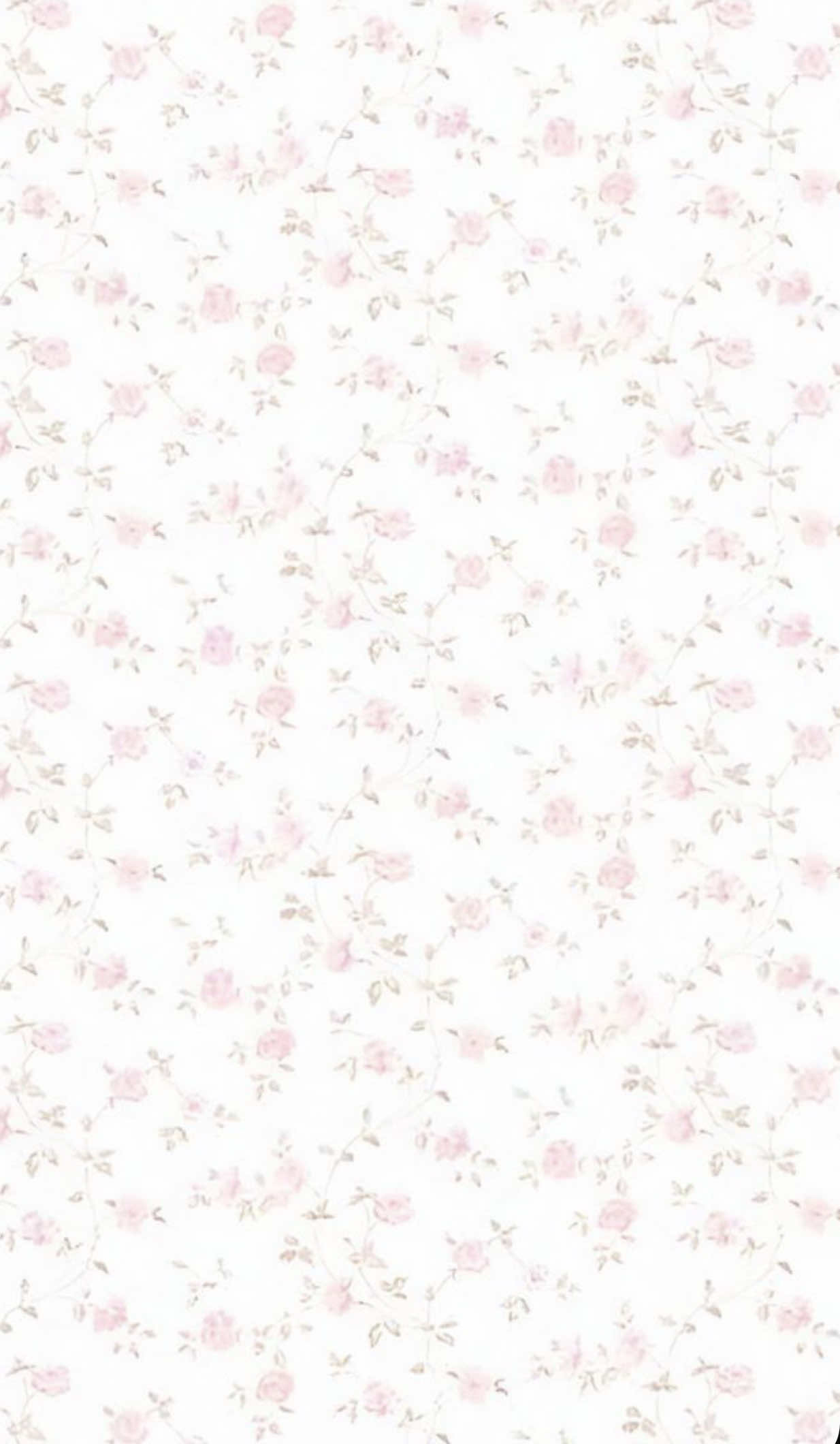 @𝒢𝒶𝒷𝓇𝒾𝑒𝓁𝓁𝒶  ❦