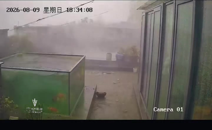 @Layout Biotope Sài Gòn VTV