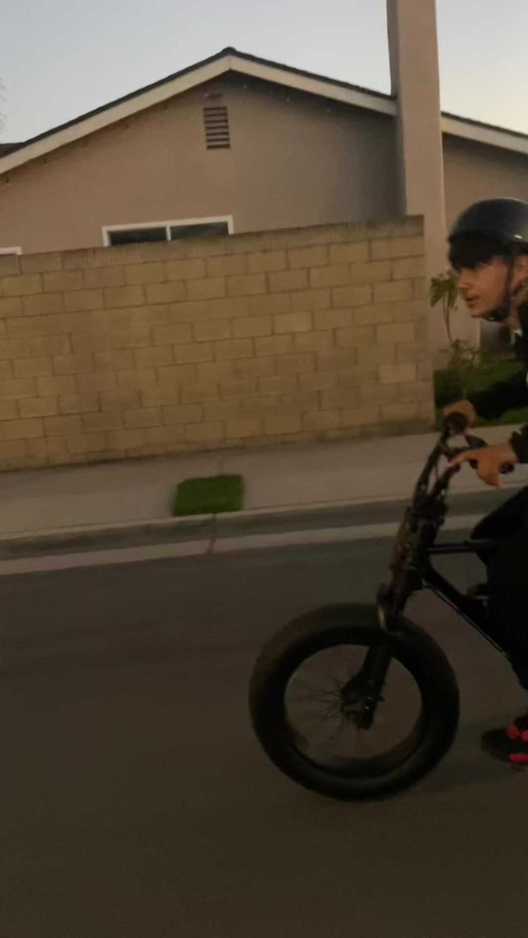 @macfoxisma