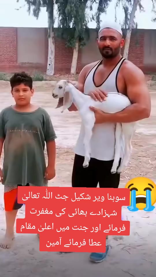 @Shakeel jutt fans