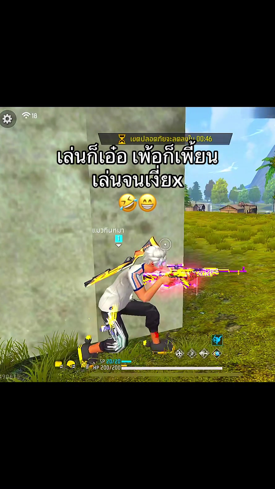 @แมวไม่มีเจ้าของ