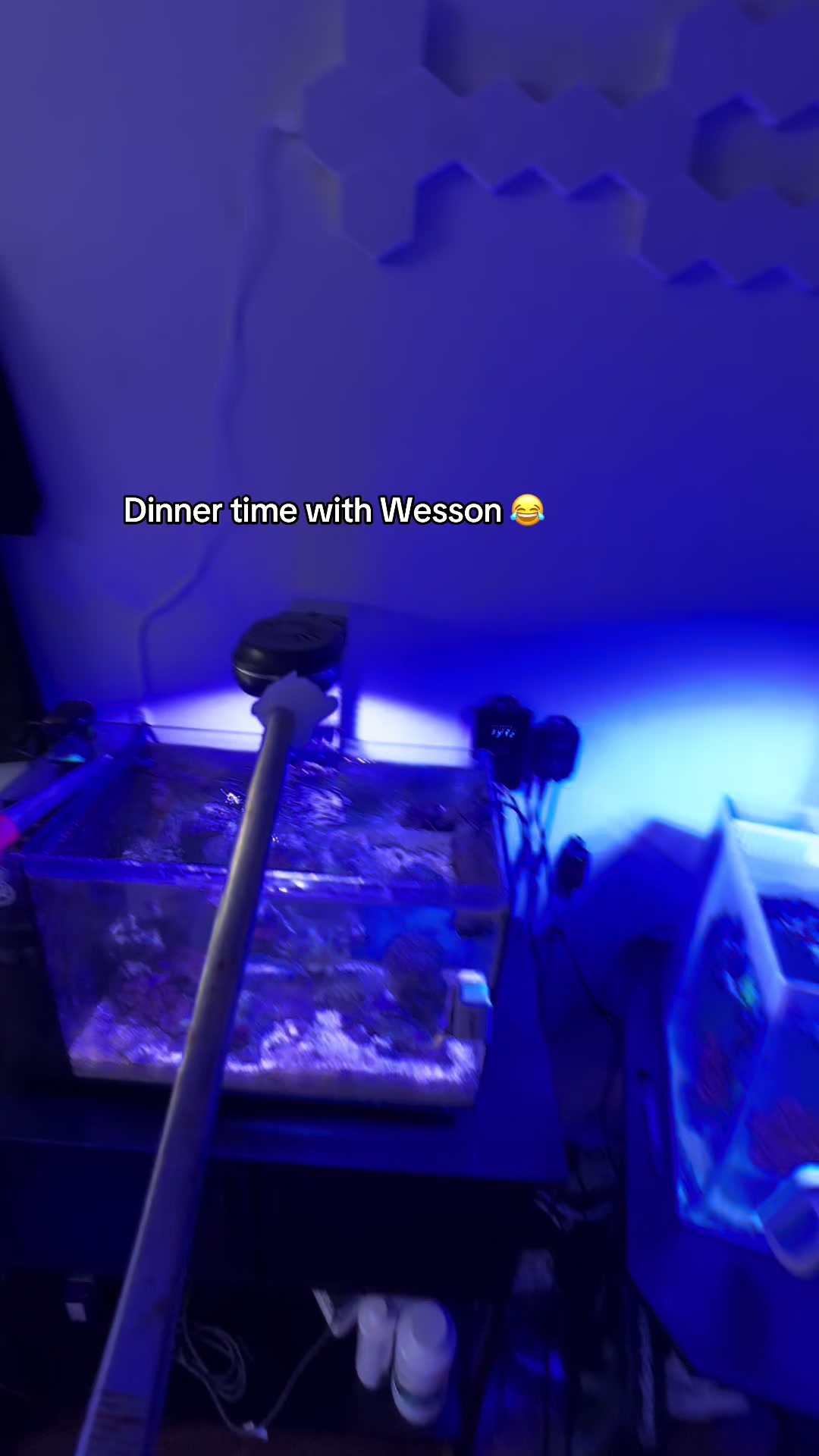 @ReefSync