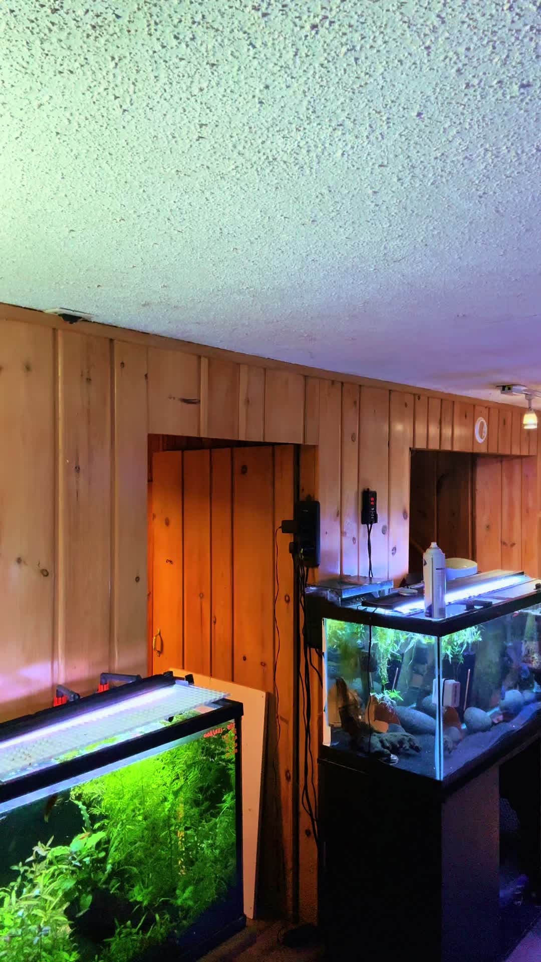 @Dads Fishroom