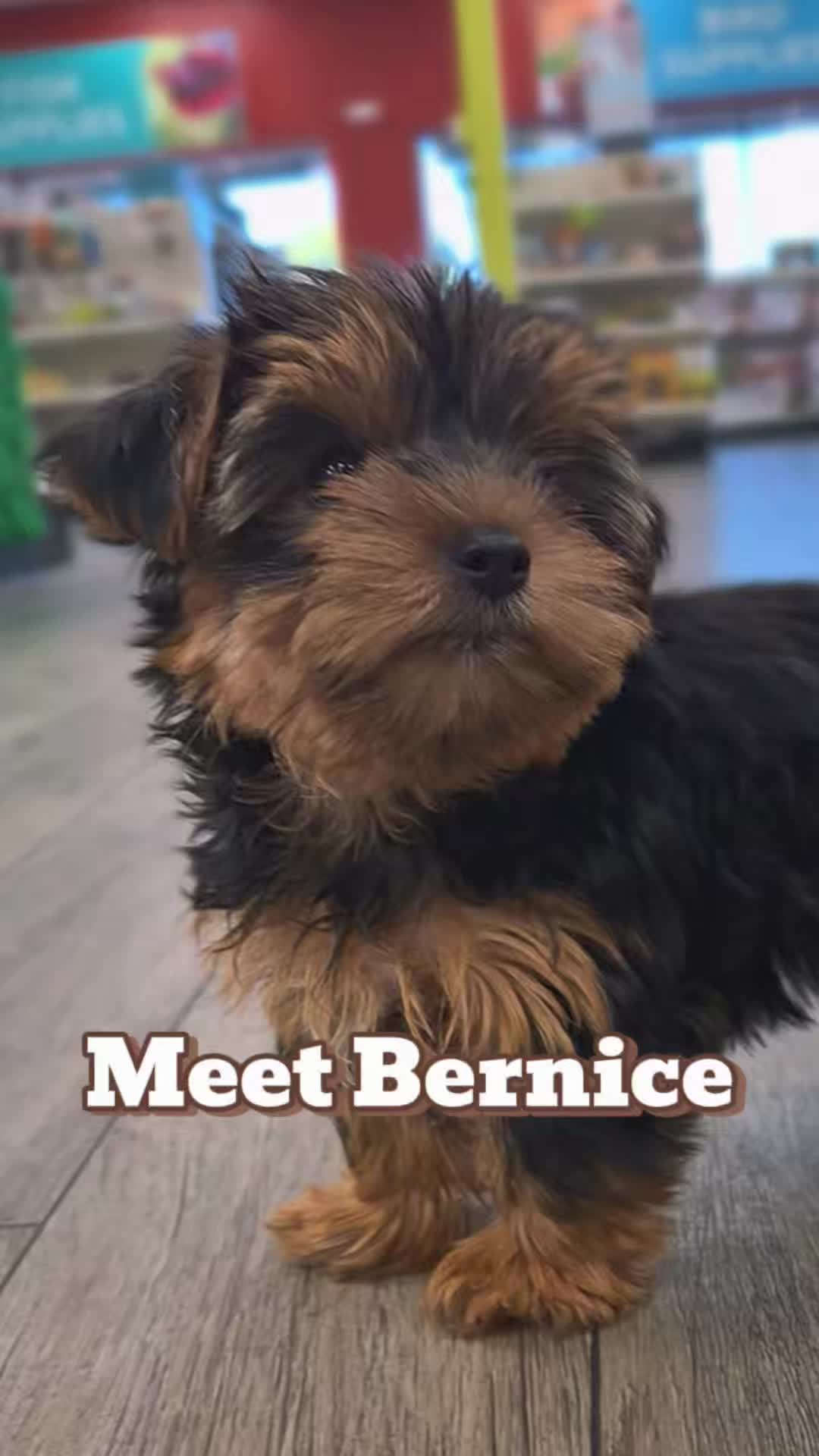 @Petland Oklahoma City