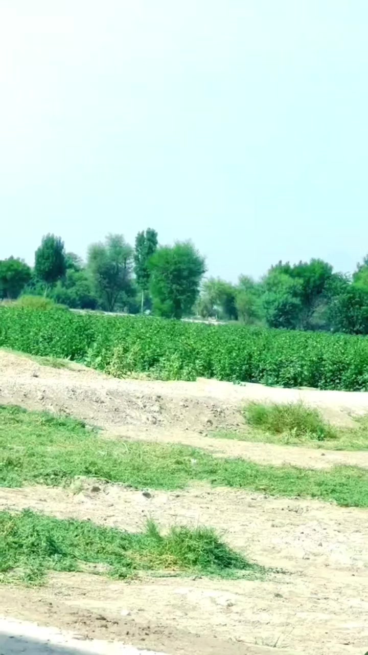@ڀان جي شهزادي