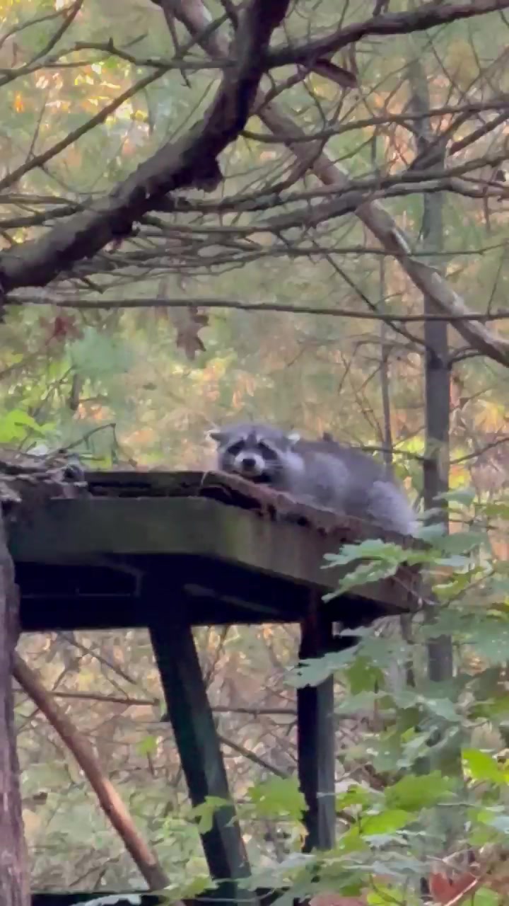 @HeadOutdoors