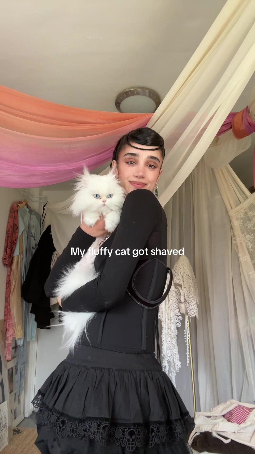 @Saana Mirzaie