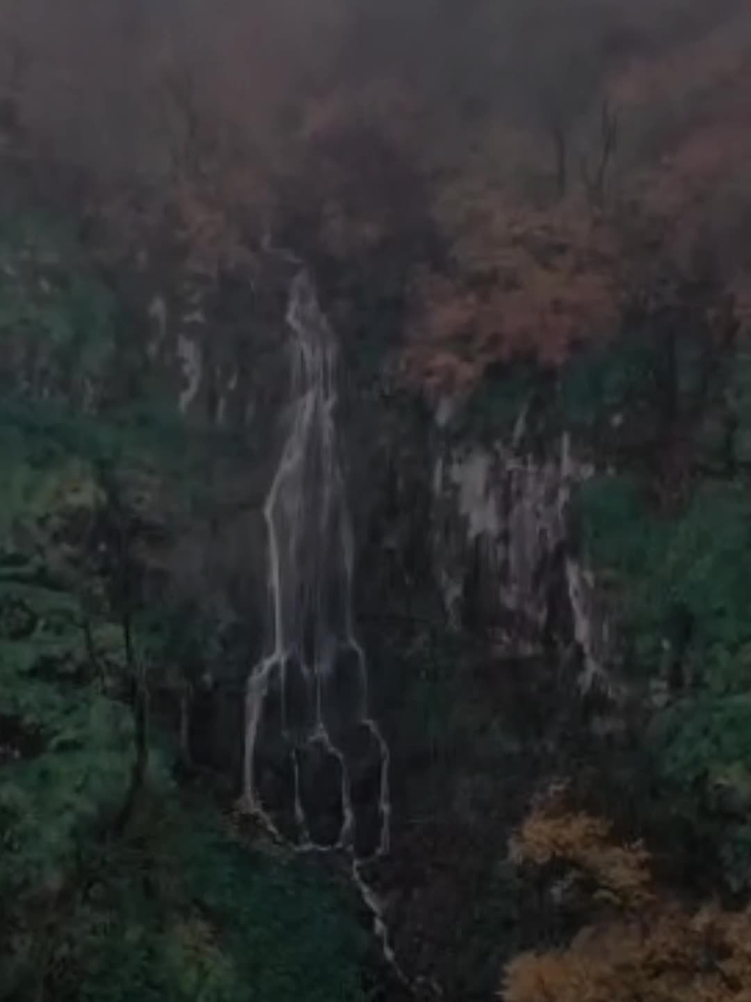 @𝐒𝐨𝐧𝐦𝐢𝐬𝐫𝐚𝐦𝐝𝐚🎶