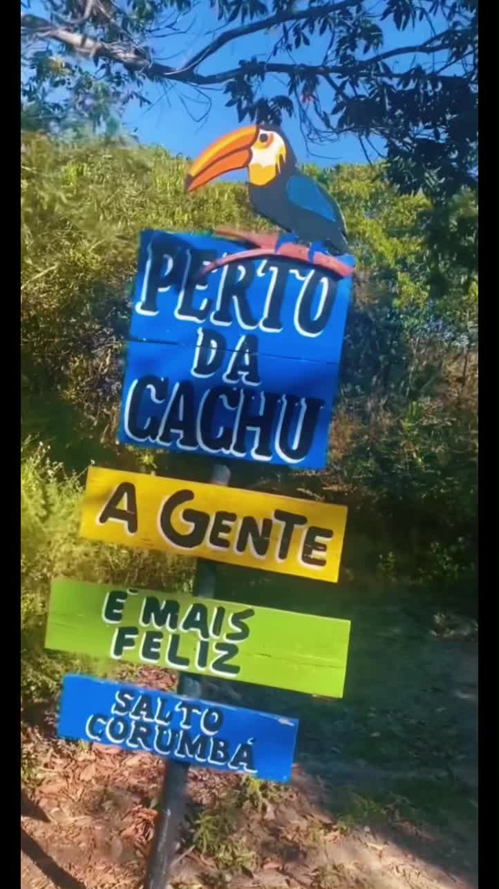 @Thalia Nascimento 🌻