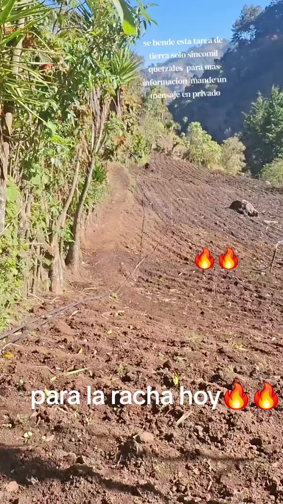 @EL PRIMO_OFICIAL_GT
