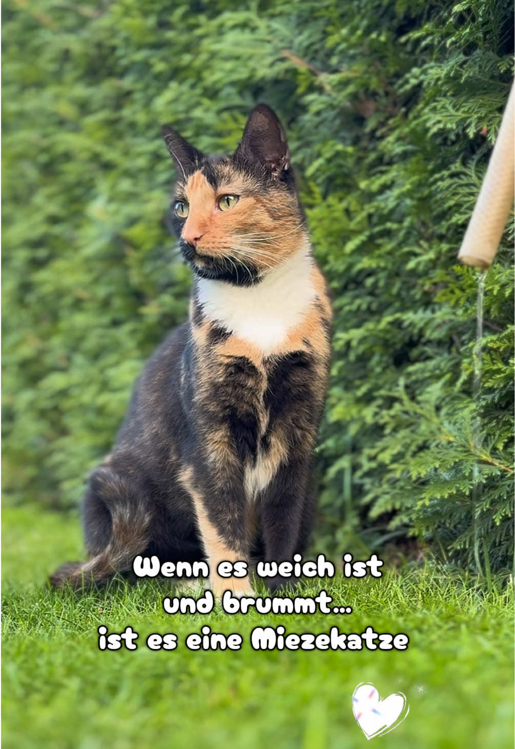 @.*✨..*✨*.
