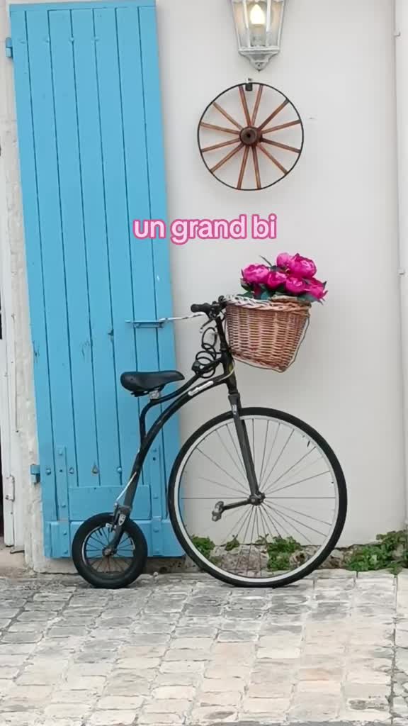 @🇲🇫👩💻 Mémo FLE