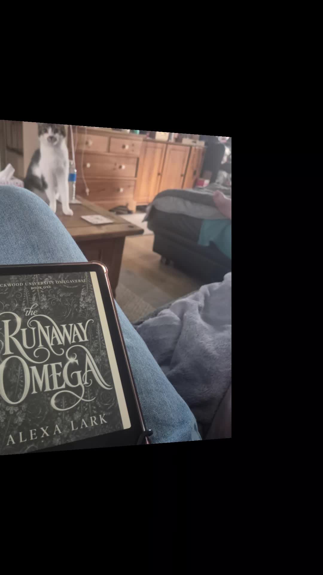 @bookgoals2026