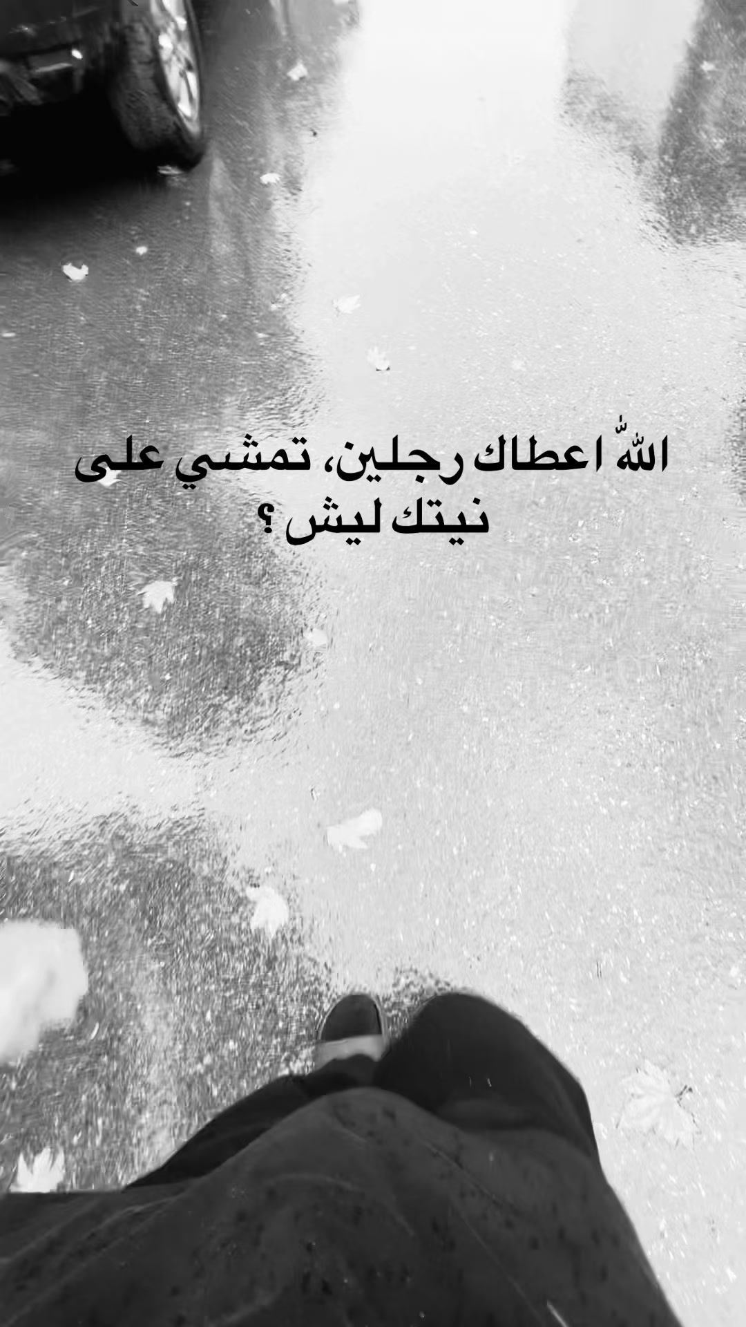 @﮼حسون