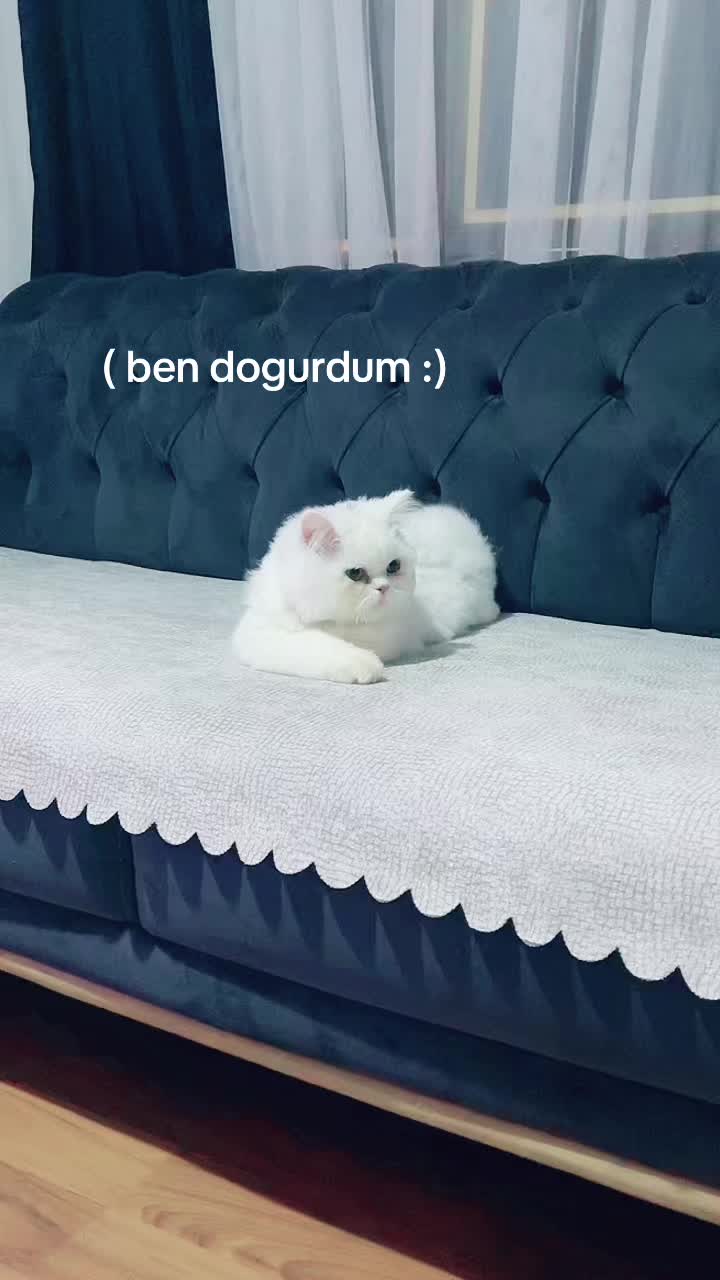 @Yağmur ✨
