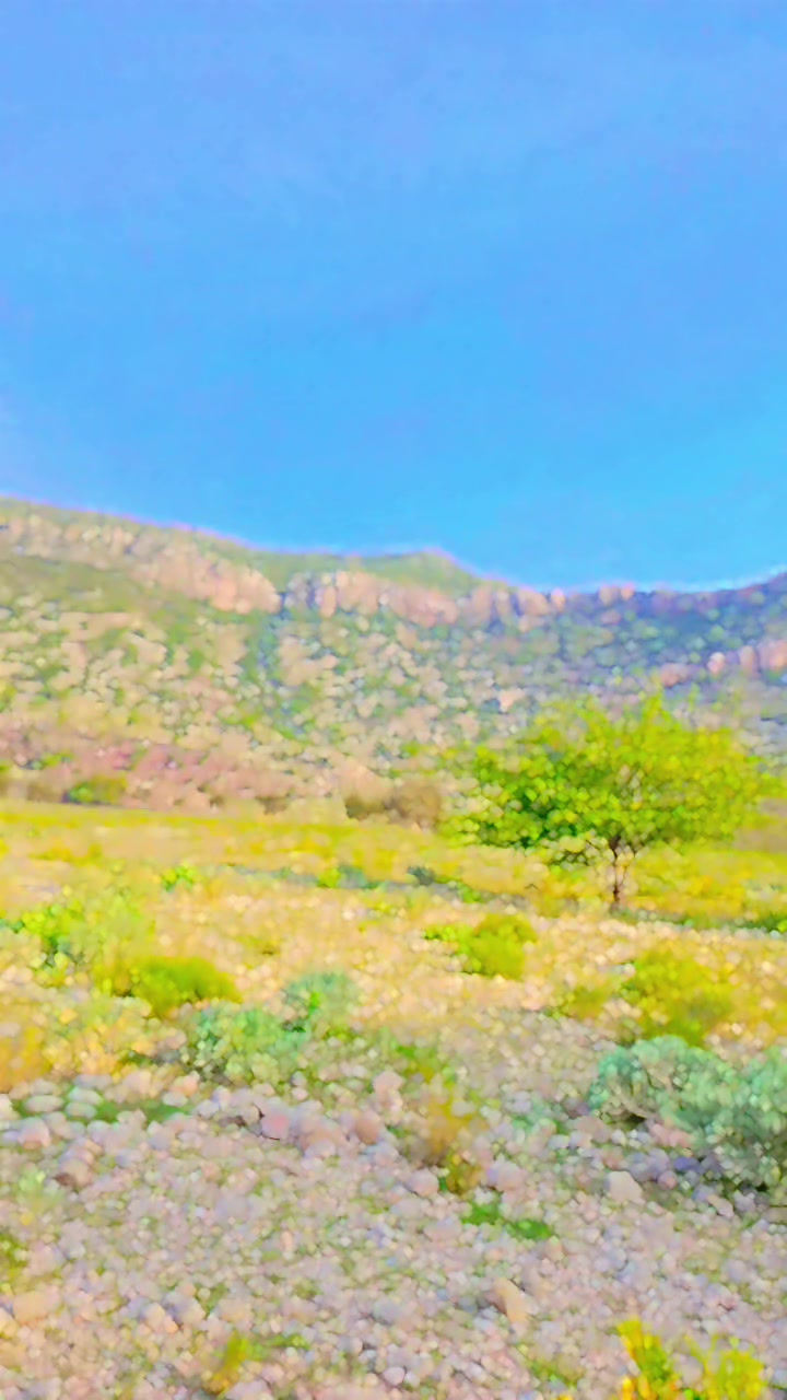 @Faizan _khan 368