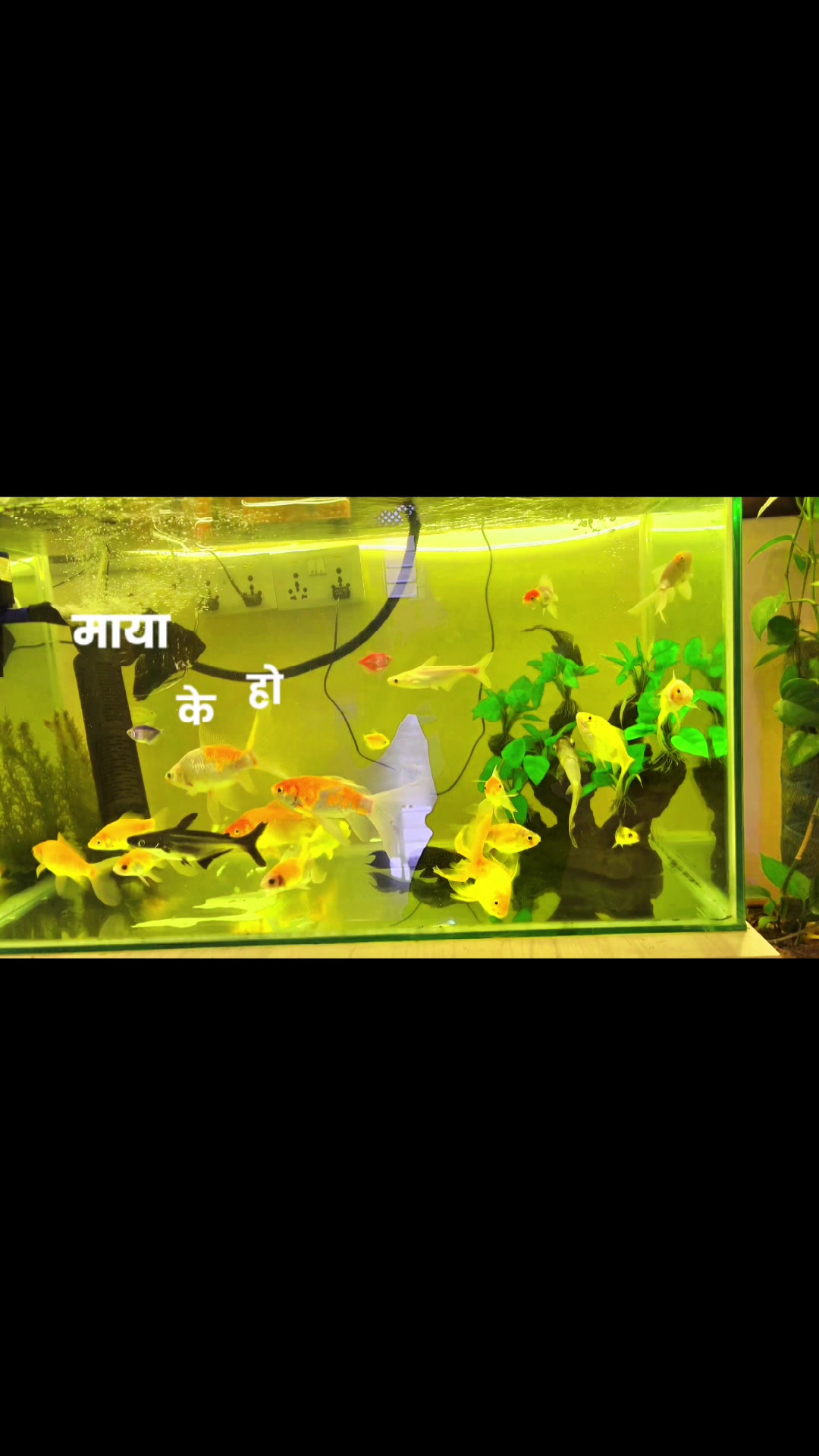 @sahid_thapa07