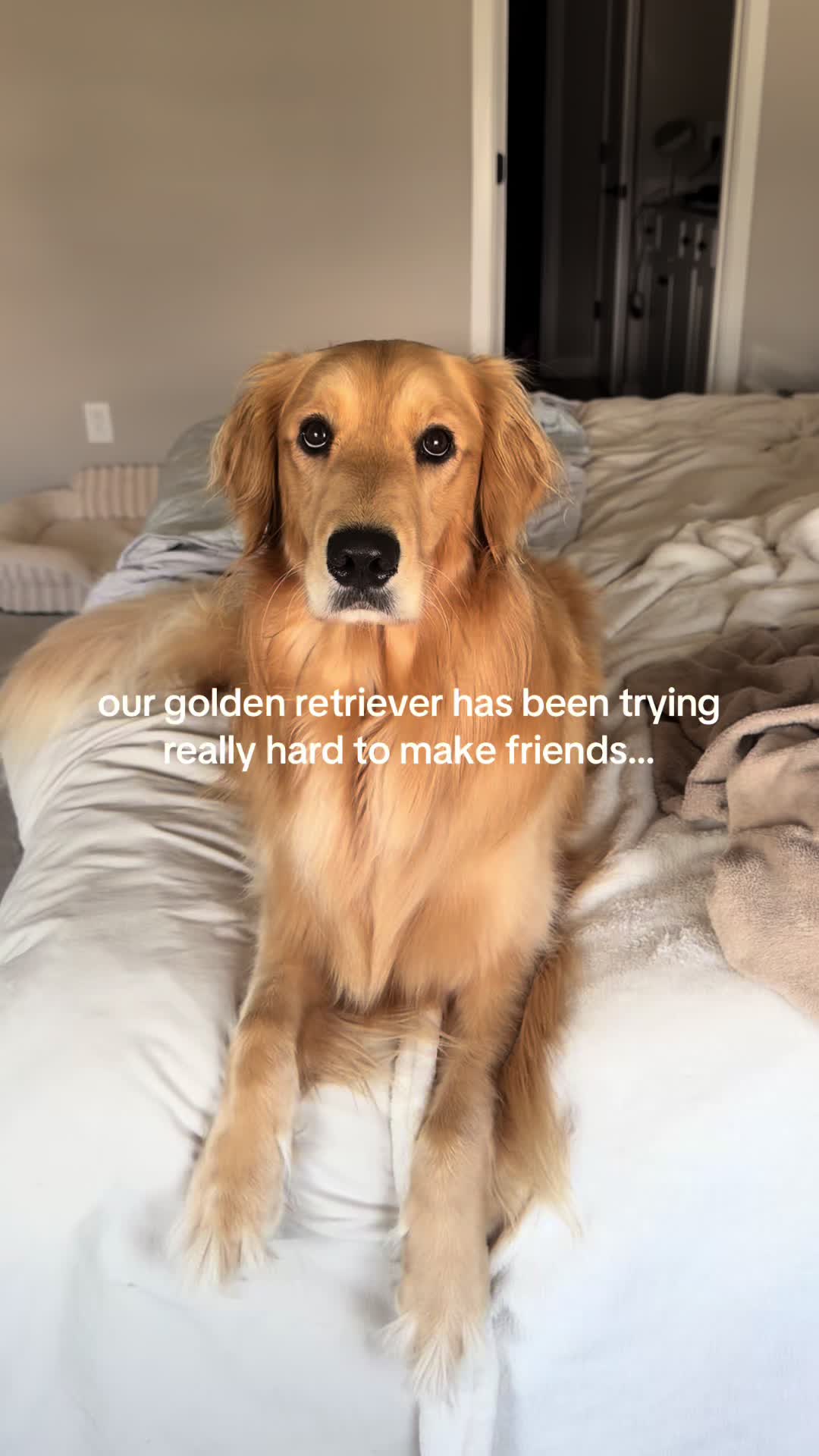 @novathegoldenn