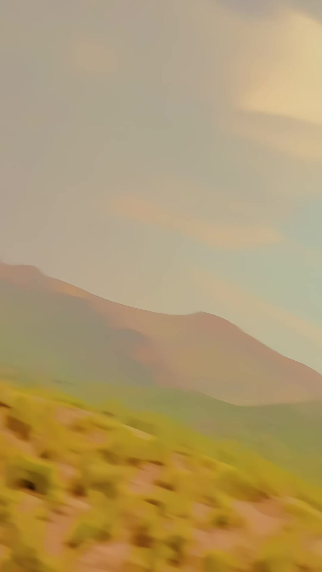 @★𝓩𝓲𝓭𝓭𝓲『𝓚𝓲𝓷𝓰☢』