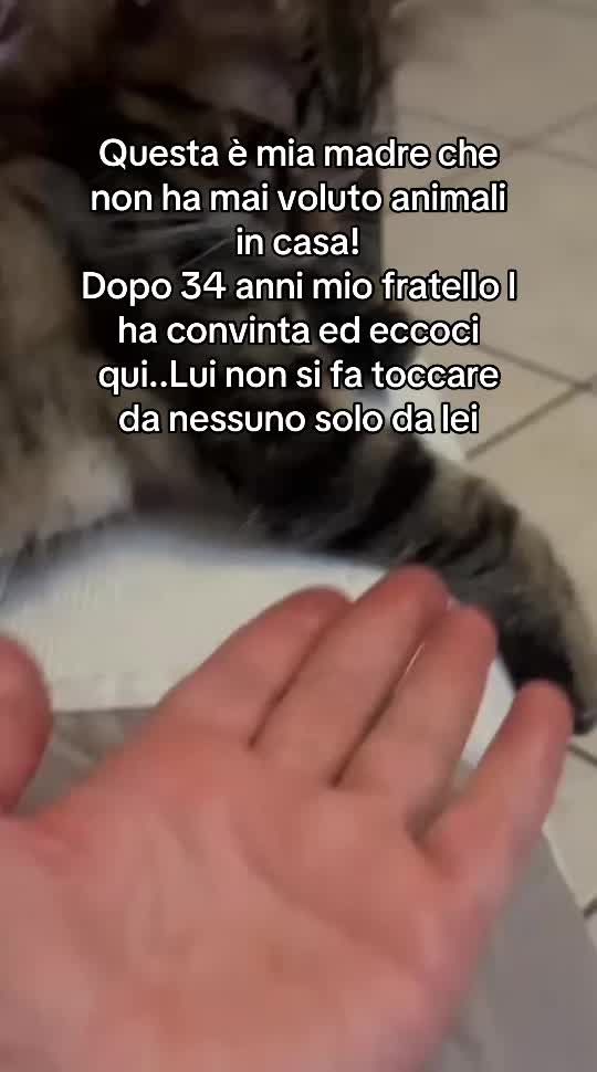 @La famiglia Ognibene