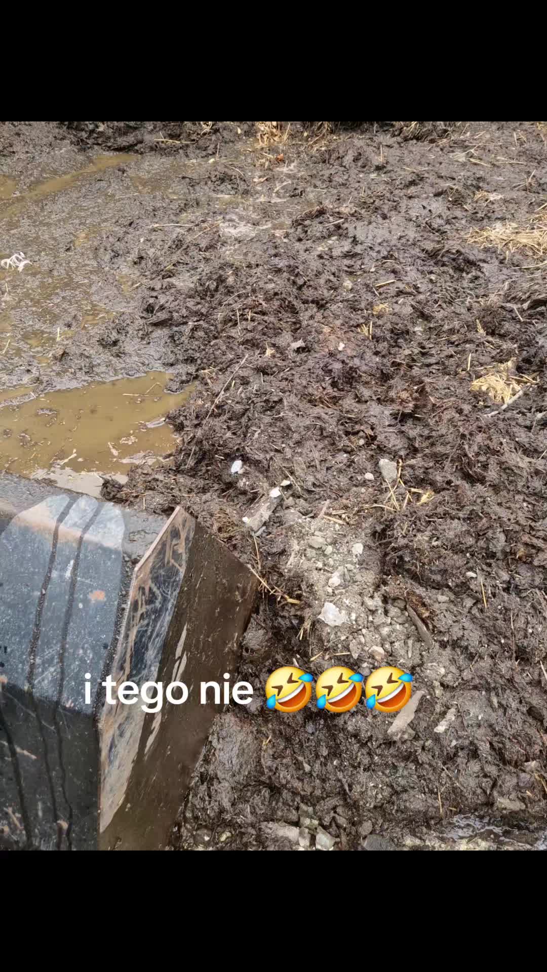 @seszunia