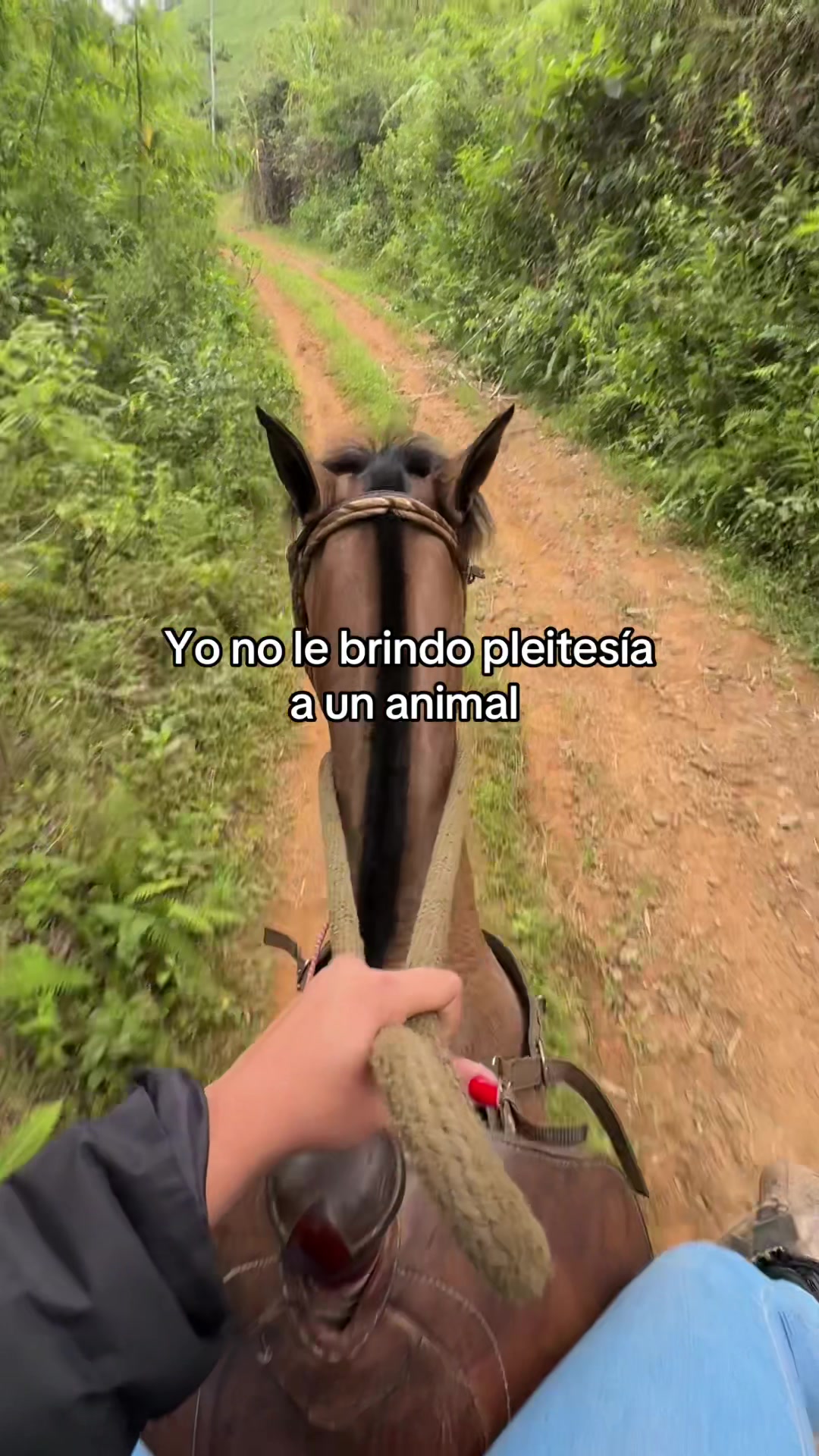 @Laly