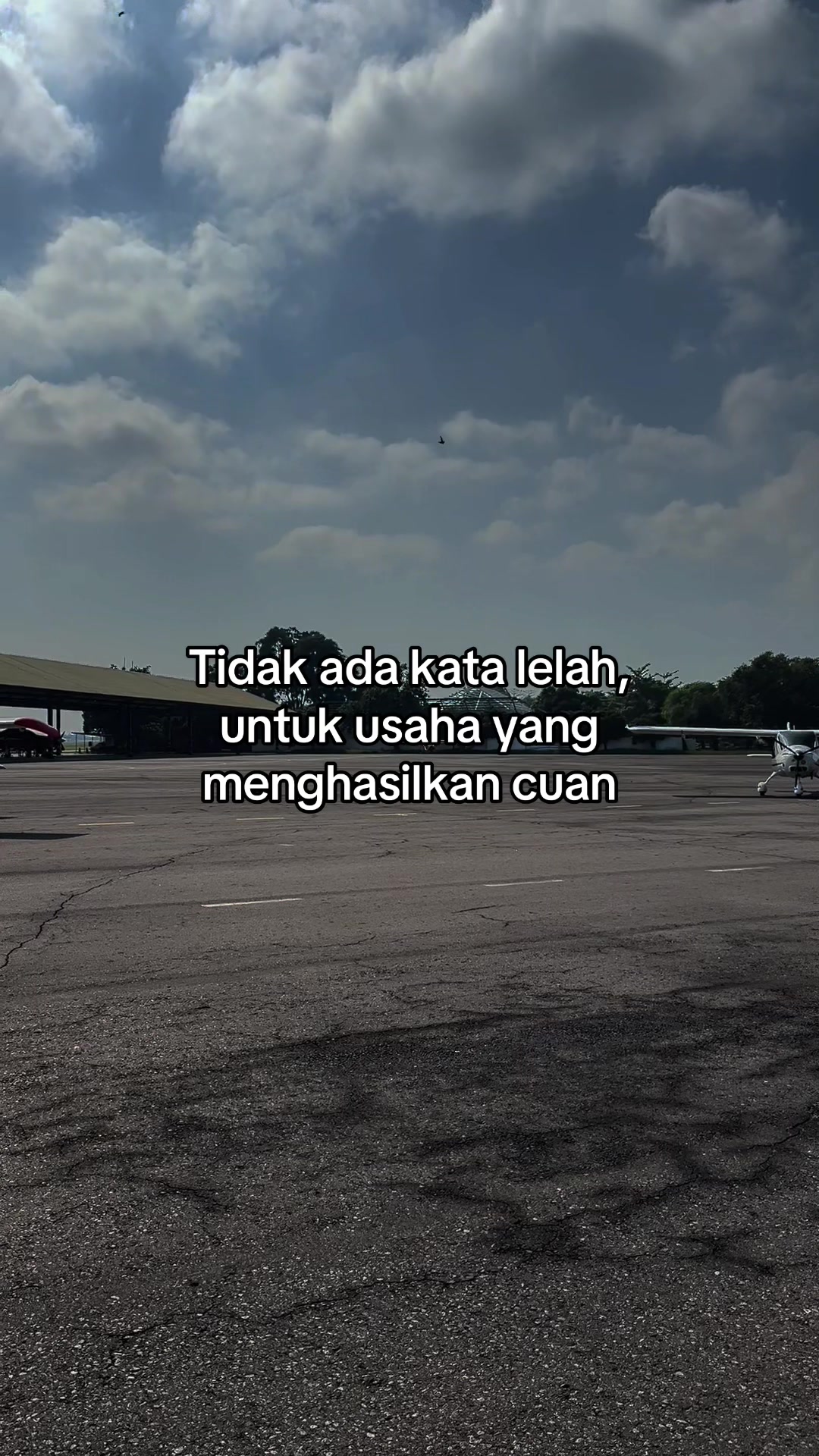 @Delibix & Company