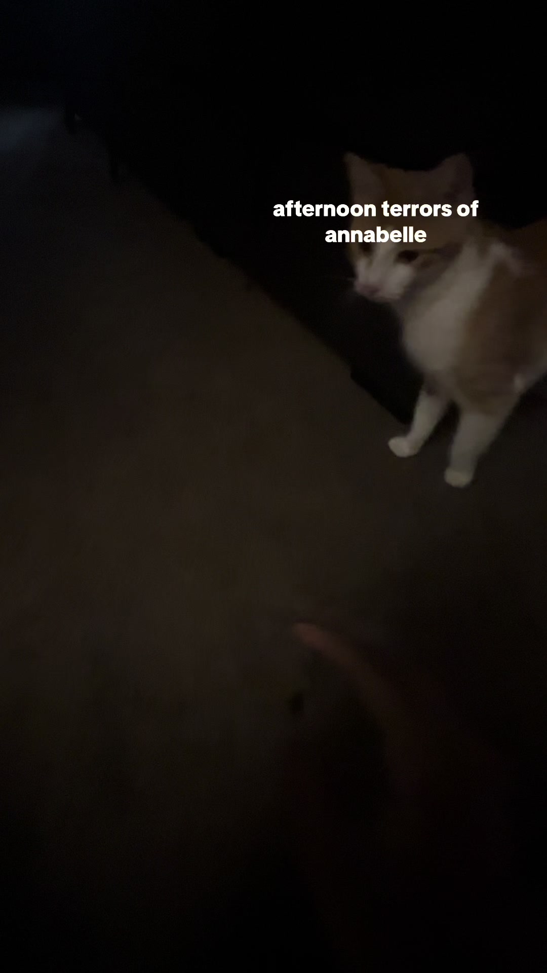 @$