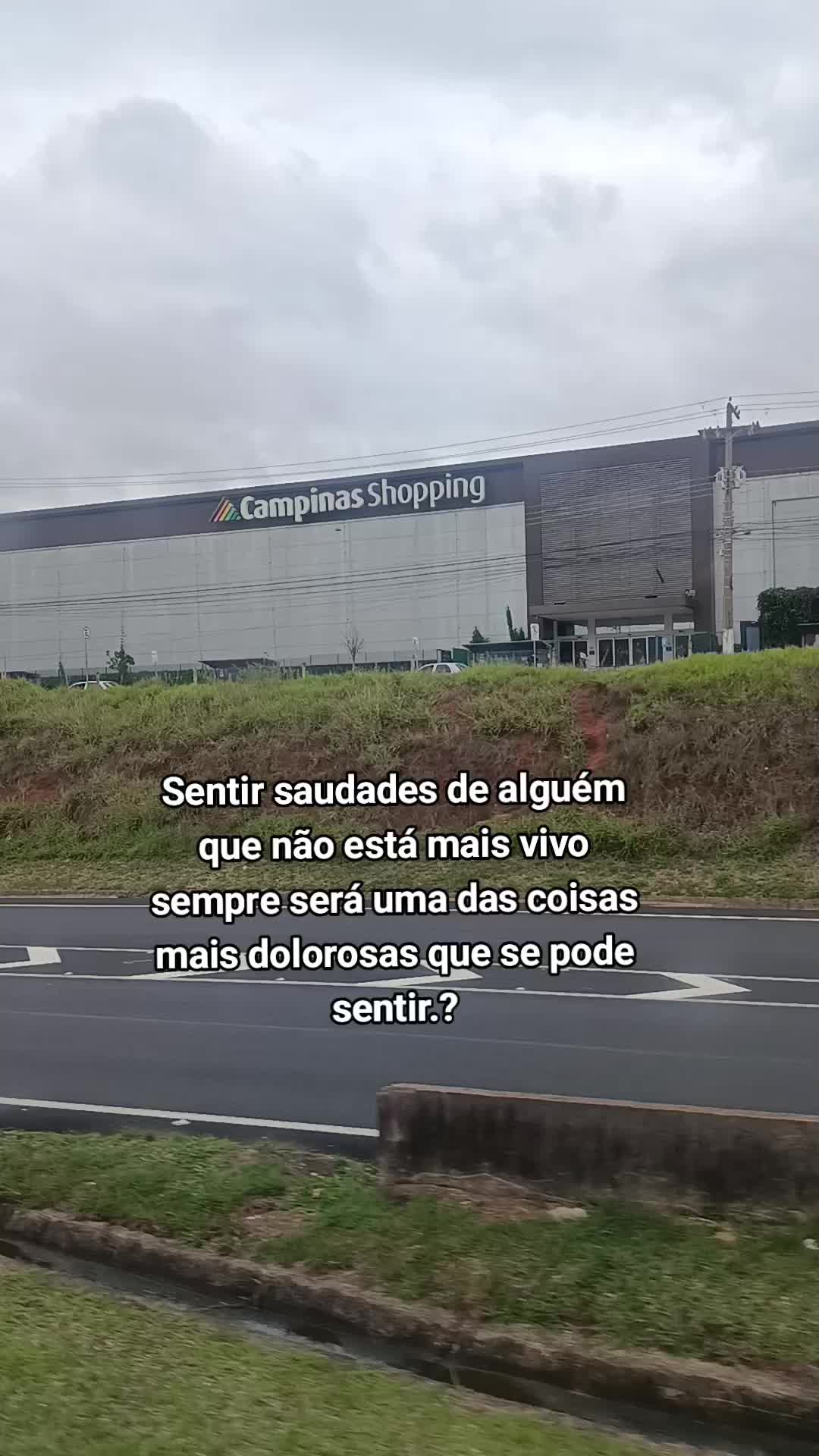 @Ceiça Morais Sep💚